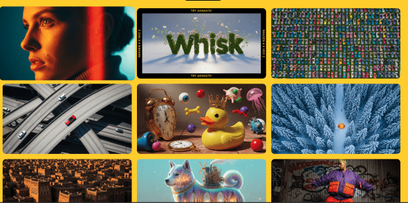 Whisk Gallery