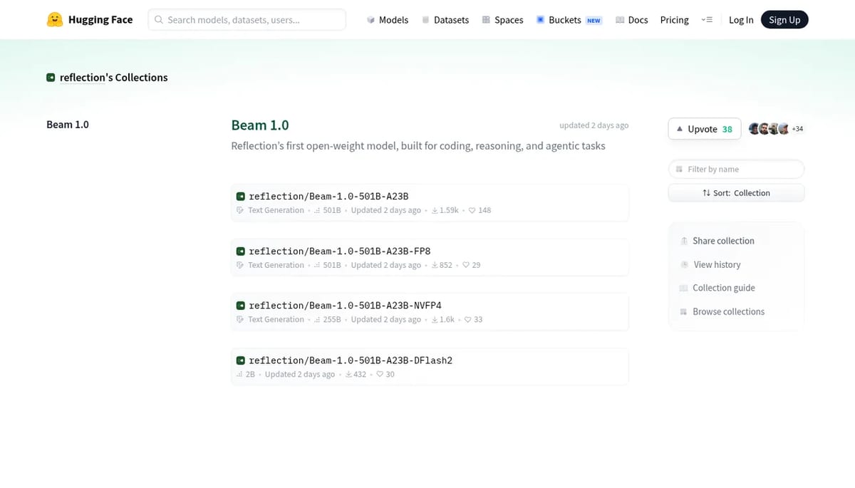 Reflection Beam 1.0 collection on Hugging Face with BF16, FP8, NVFP4 and DFlash2 weights